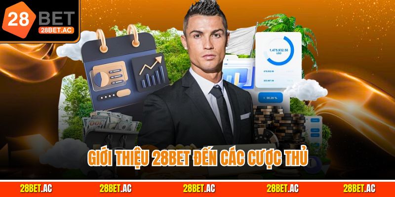 Giới thiệu 28BET đến các cược thủ